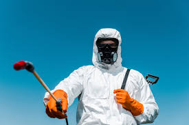 Best Real Estate Pest Inspections  in Splendora, TX